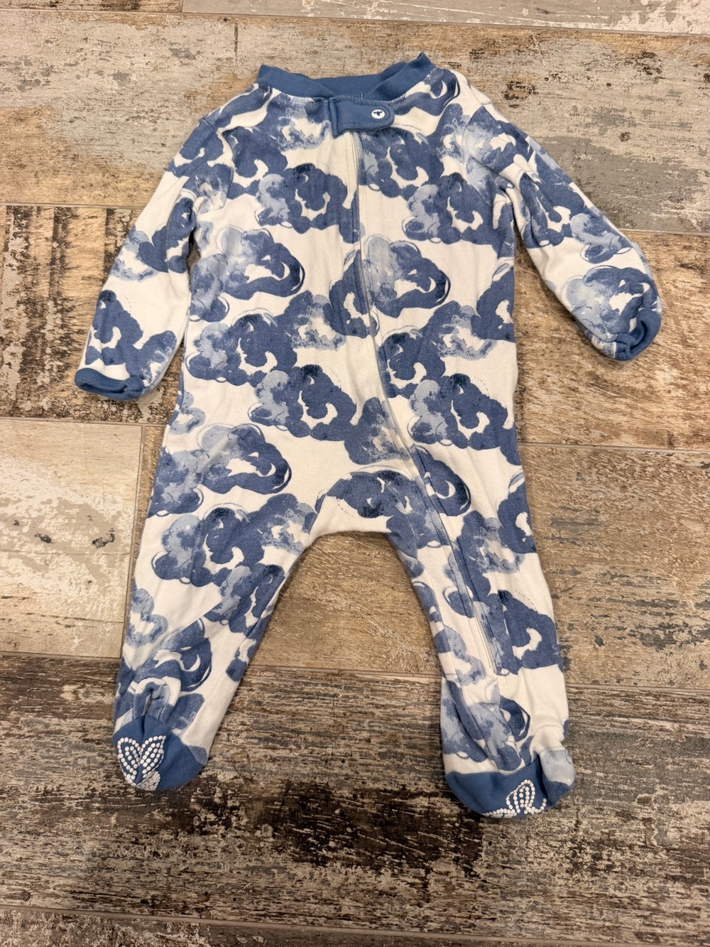 Burt's Bees Baby Blue Floral Cloud Print Footed One-Piece